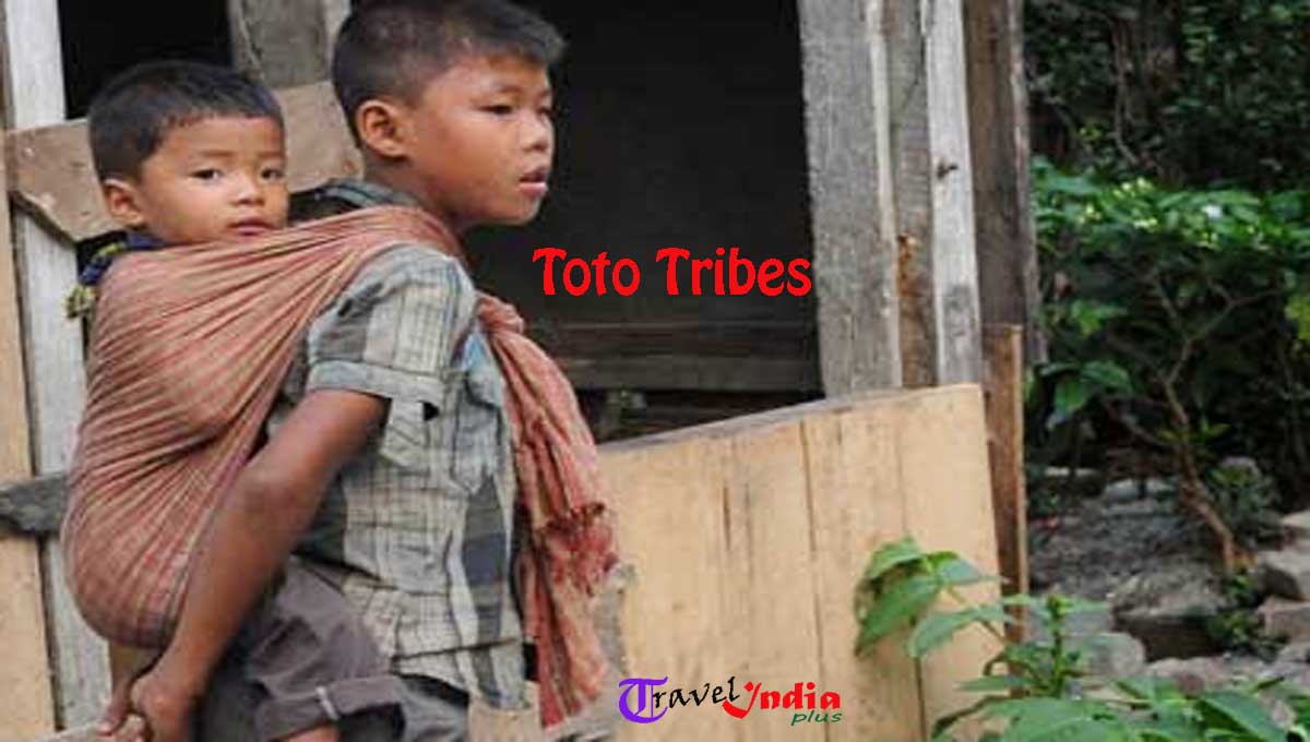 Toto tribes