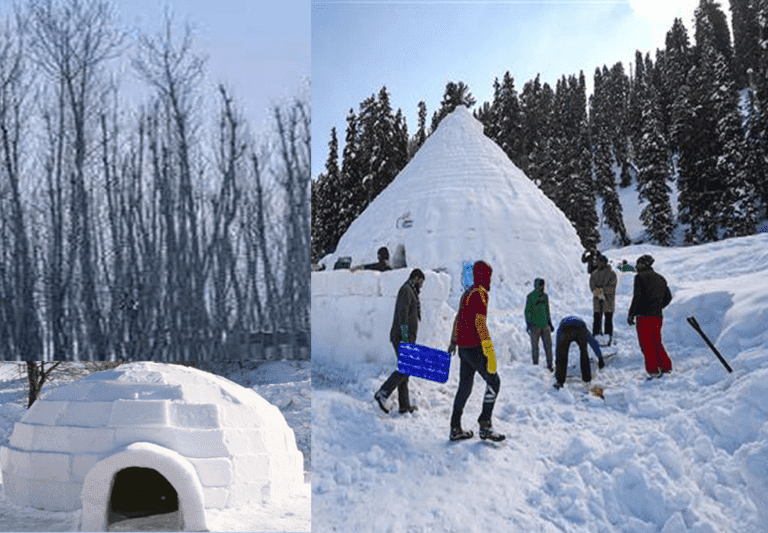 World’s Largest Igloo Cafe Became The Center Of Tourist Attraction In Kashmir, India