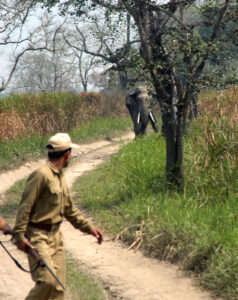 Kaziranga National Park