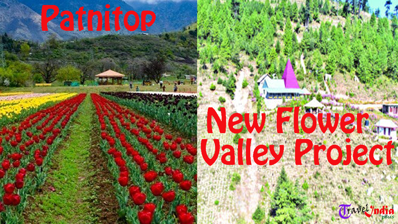 Flower Valley