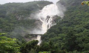 Monsoon Trekking