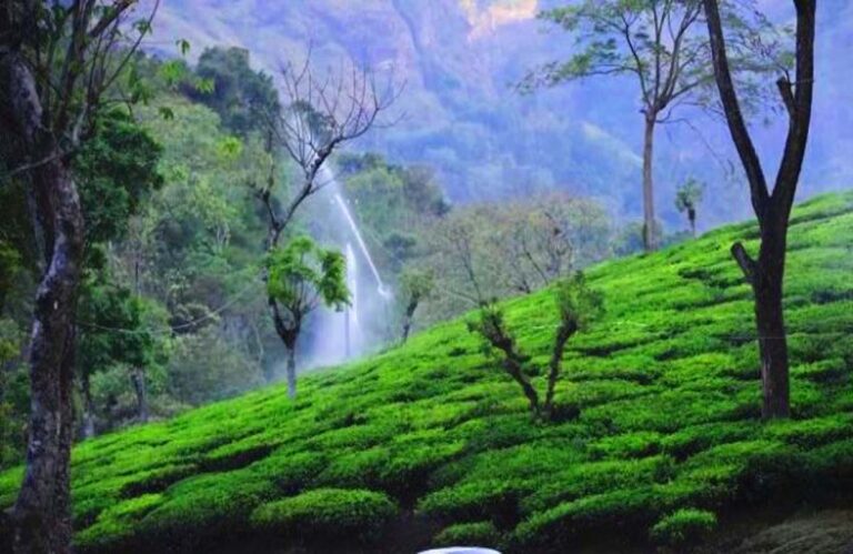 Lonavala The Truly Nature Escape From Husting Busting City Life Of Mumbai