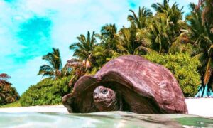 Islands To Visit In Seychelles