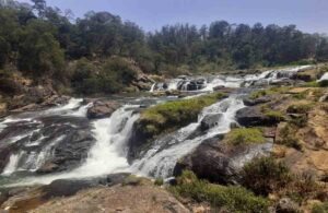 Places To Visit In Ooty