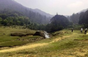 Places To Visit In Ooty