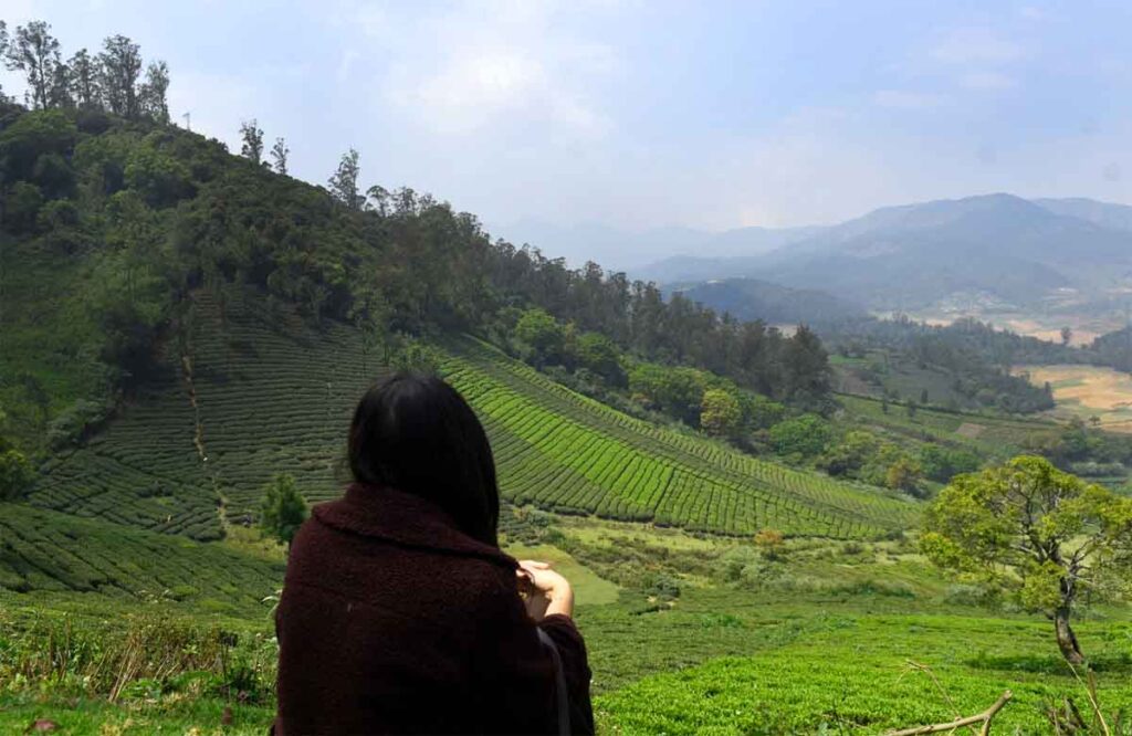 Places To Visit In Ooty