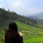 Places To Visit In Ooty