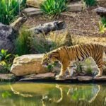 Places To Visit Near Bandipura Forest